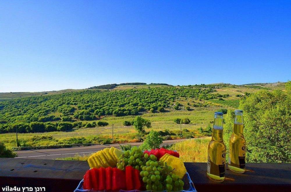 135096 חצר ובריכה, וילה אלברטו, וילה  באלקוש וילות - Vila 4 U