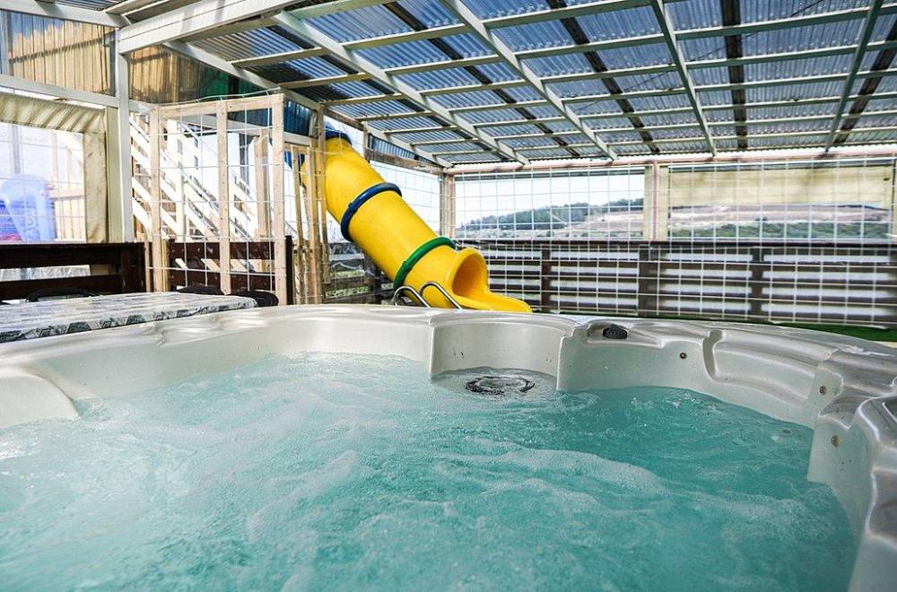 135098 חצר ובריכה, וילה אלברטו, וילה  באלקוש וילות - Vila 4 U