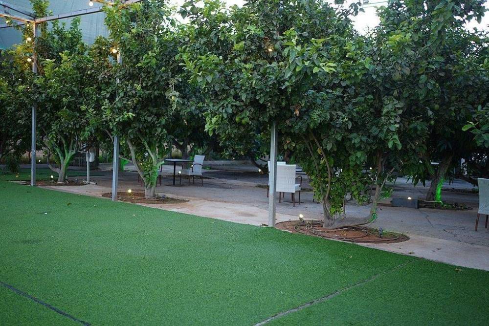 136230 גלריית חוץ, אחוזת דה אורו ריזורט, וילה  בנתניה וילות - Vila 4 U