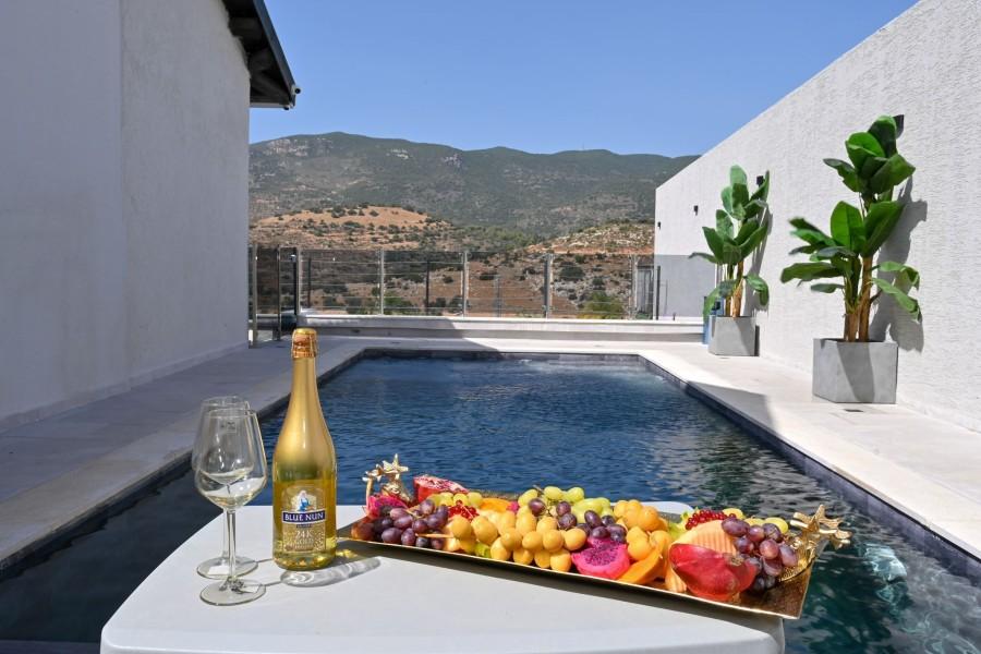 192354 מתחם חיצוני, וילה לה רוסה - La Rosa, וילה  בכפר חנניה וילות - Vila 4 U