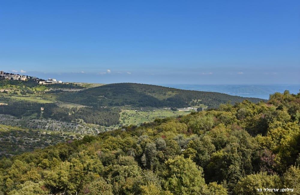 195290 גלריה כללית, אחוזת הצוק במרומים, וילה  בכפר שמאי וילות - Vila 4 U