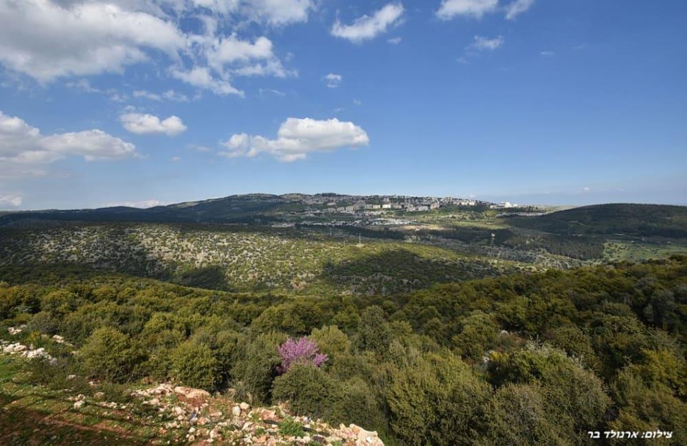 195298 גלריה כללית, אחוזת הצוק במרומים, וילה  בכפר שמאי וילות - Vila 4 U