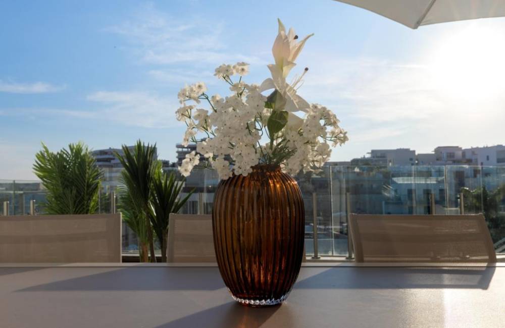 210798 המתחם החיצוני, אחוזת ג'ורדן, וילה  באילת וילות - Vila 4 U