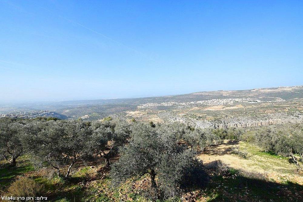 211348 המתחם החיצוני, וילה טרה ורדה - Terra Verde, וילה  בירכא וילות - Vila 4 U