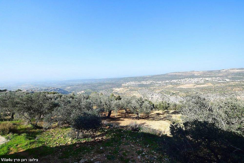 211380 המתחם החיצוני, וילה טרה ורדה - Terra Verde, וילה  בירכא וילות - Vila 4 U