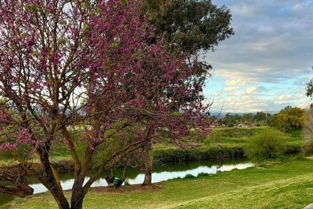 213615 סביבת המקום והנוף, וילה נוף להרים, וילה  בקרית שמונה וילות - Vila 4 U