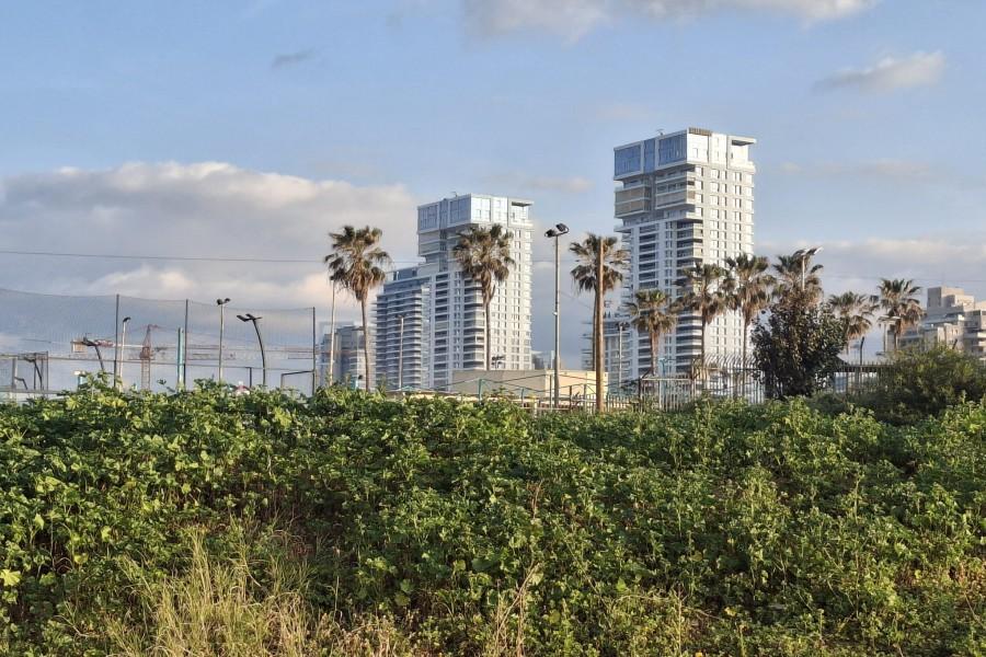 217096 גלריה כללית, כפר הים, וילה  בנתניה וילות - Vila 4 U