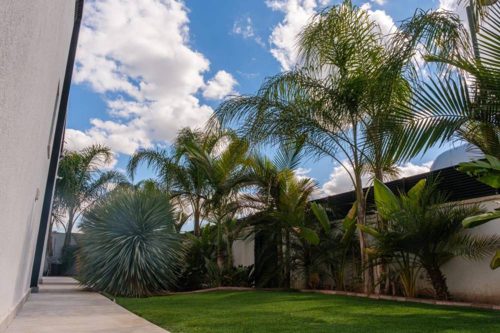 217791 גלריה כללית, וילה בל - Vila Belle, וילה  בשדה צבי וילות - Vila 4 U