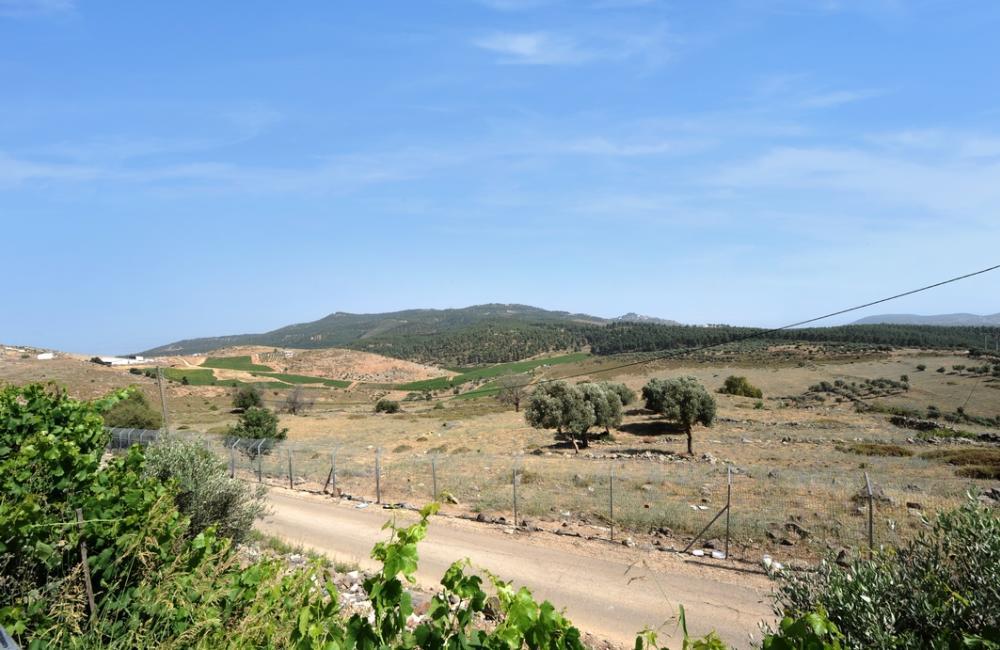 219074 המתחם החיצוני, אחוזת מרלו - MERLOT, וילה  בדלתון וילות - Vila 4 U