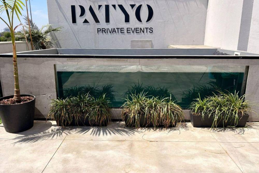 222980 בריכת השחייה, מתחם פטיו תל אביב - Patyo TLV, וילה  בתל אביב וילות - Vila 4 U