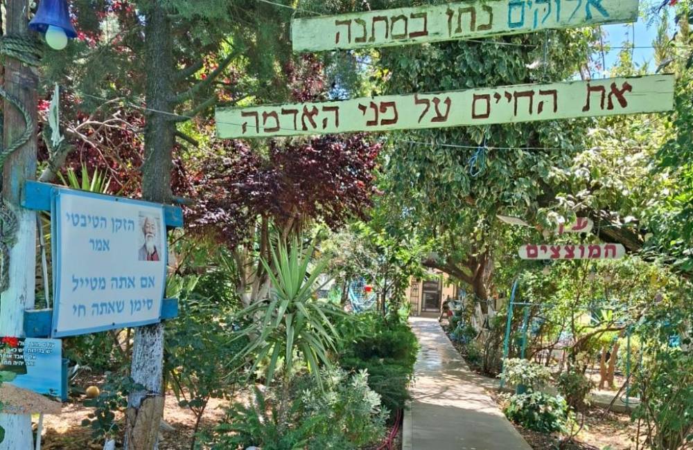 229533 גלריה כללית, אחוזת אנאאל בגליל, וילה  בספסופה וילות - Vila 4 U