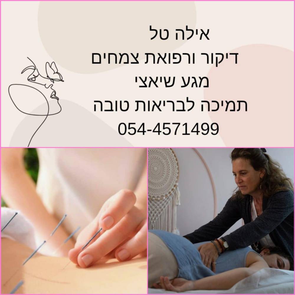 239044 שירותים בתוספת תשלום, וילה מגדל ריזורט, וילה  במגדל וילות - Vila 4 U