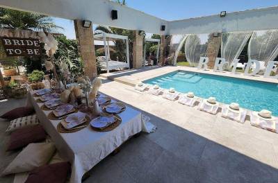 וידאו - הברבור הורוד